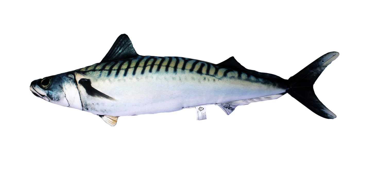 Fiskepute - Makrell - Scomber Scombrus - 60 cm