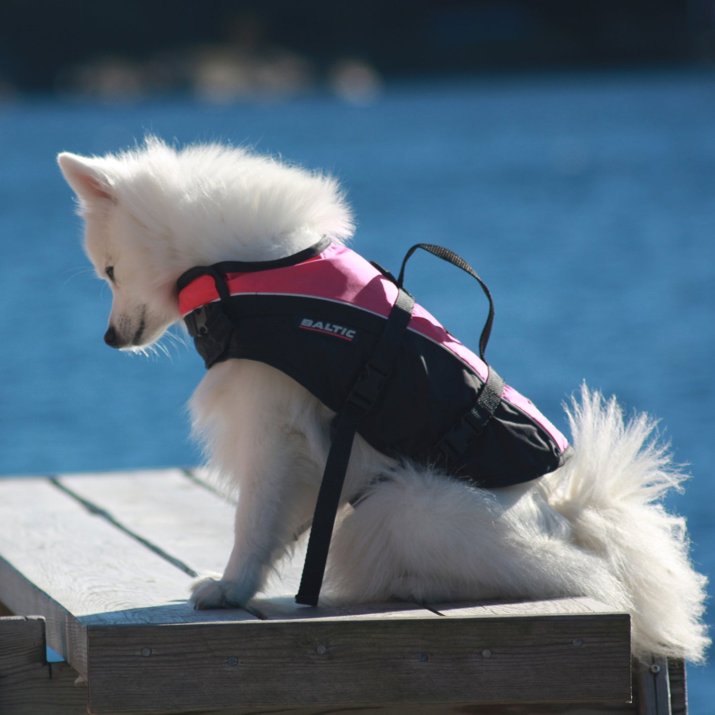 Baltic Mascot hundevest UV gul
