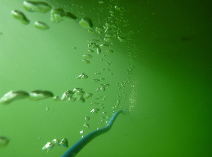 Bobleanlegg VAKE D-icer