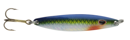 Falkfish Sard - 955 - Blue Yellow Nat. Holo