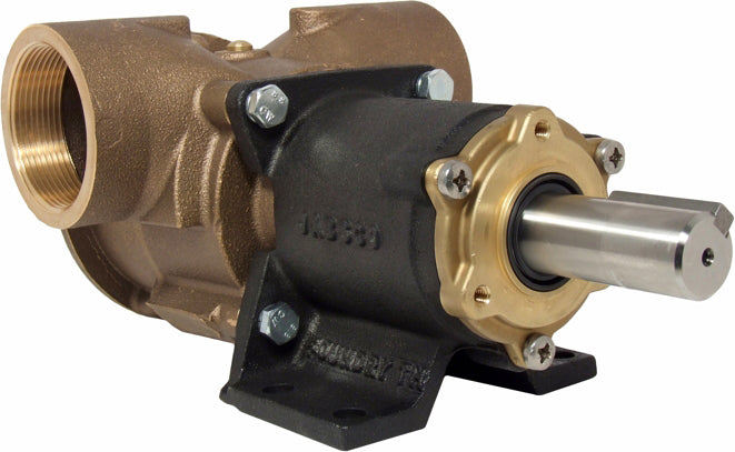 Jabsco Impellerpumpe 270 m/2" BSP-gjengeporter – bilde 2