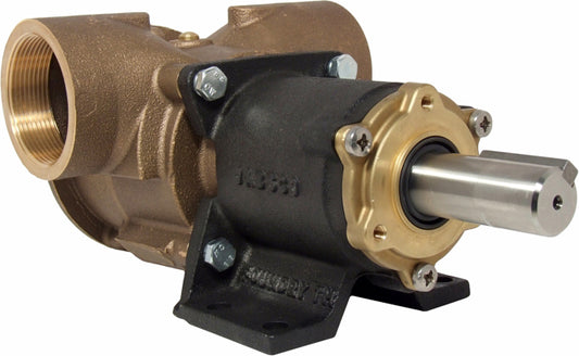 Jabsco Impellerpumpe 270 m/2" BSP-gjengeporter – bilde 2