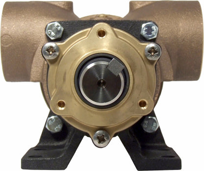 Jabsco Impellerpumpe 270 m/2" BSP-gjengeporter – bilde 3