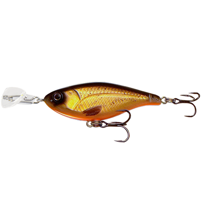 Headbanger Cranky Shad - Slow sink - Dirty Roach
