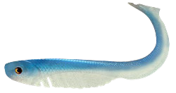 Headbanger BangerRibs V2 4-pack - 8,6 cm Softbait 7 g Blue/White