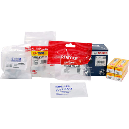 Yamaha Servicekit 9 (F80D, F100F)