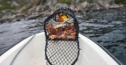 Krabbe/Hummerteine enkel - 62x45x40 cm - 5,5mm - 6kg