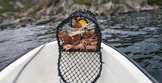 Krabbe/Hummerteine enkel - 62x45x40 cm - 5,5mm - 6kg