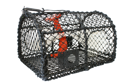Krabbe/Hummerteine enkel - 62x45x40 cm - 5,5mm - 6kg