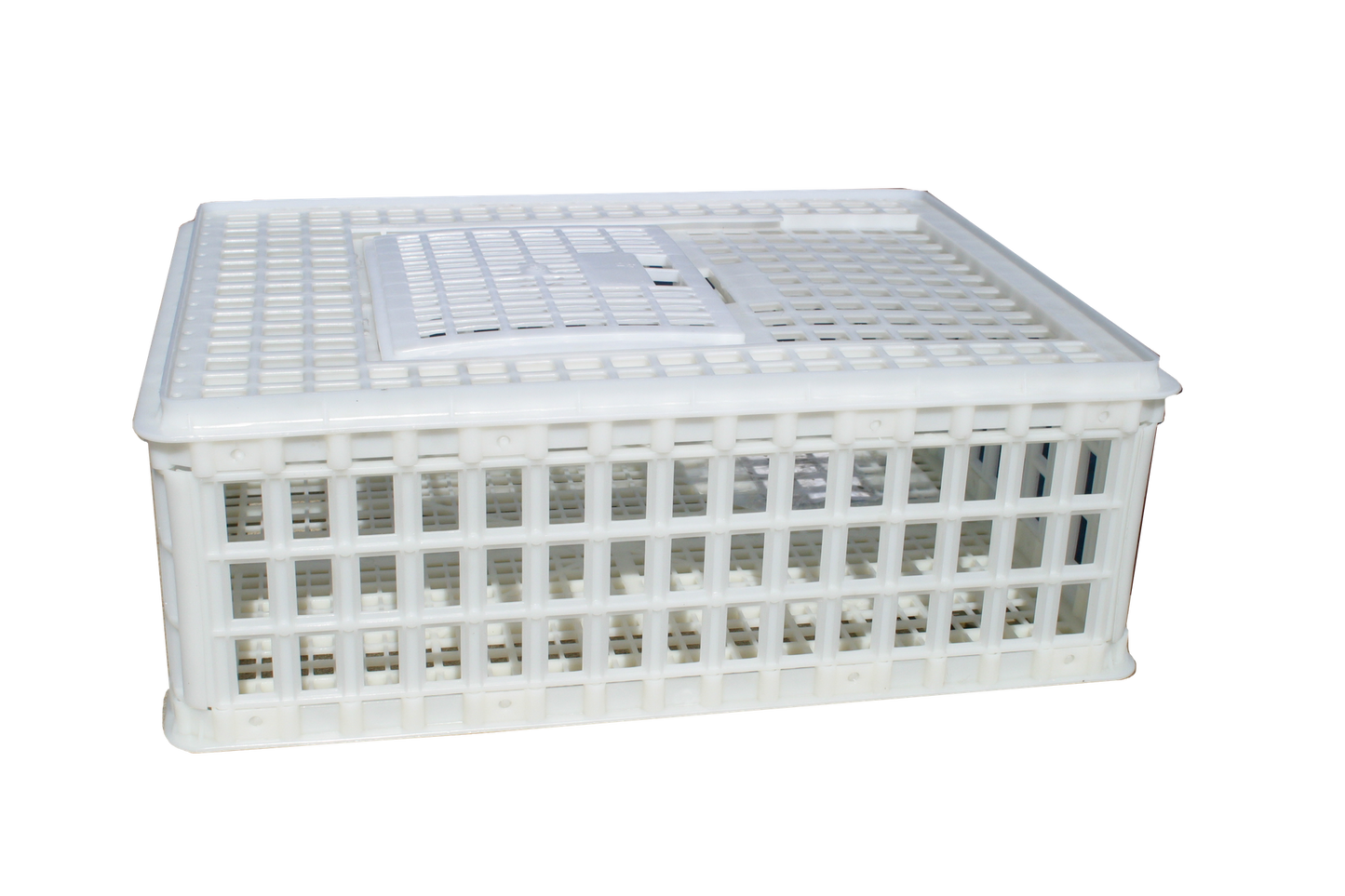 Sanketeine plast - 75 x 55 x 26 cm
