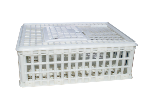 Sanketeine plast - 75 x 55 x 26 cm