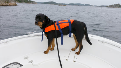 Redningsvest for hund - Fra små til store hunder