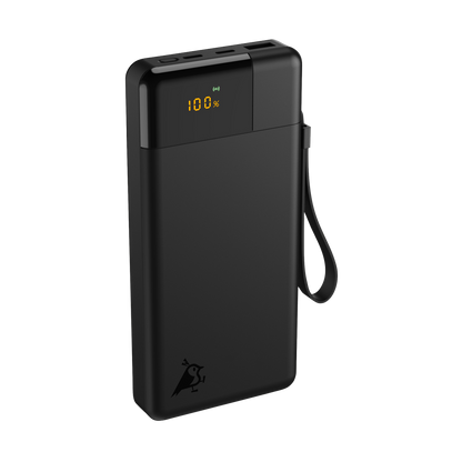 Aqiila Powerbird B20 20000mAh - Powerbank - 20W - svart