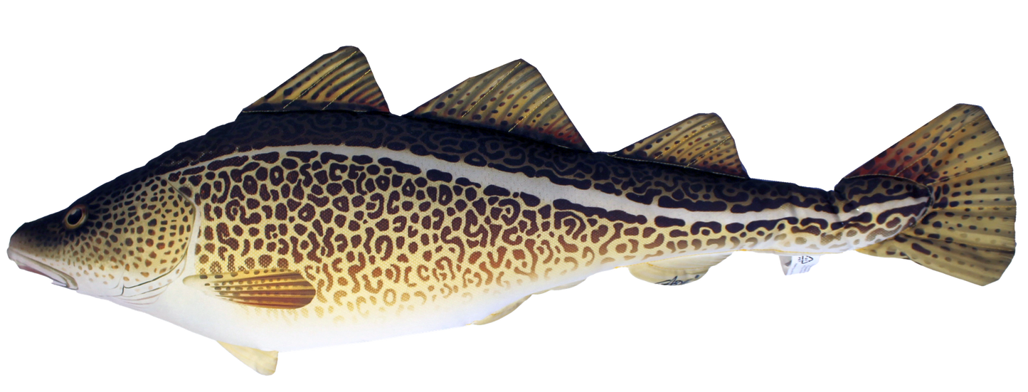 Fiskepute - Torsk - Gadus Morhua - 75 cm