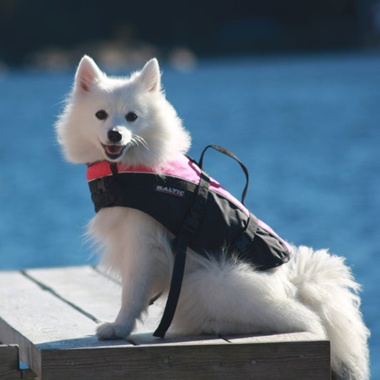 Baltic Mascot hundevest oransje/svart L 15-40 kg – bilde 2